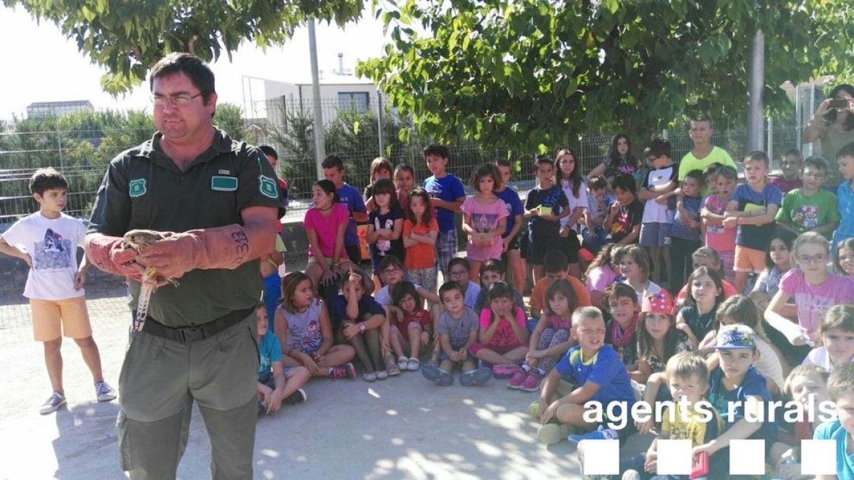 Moment de l’alliberament a l’escola Alfred Potrony de Térmens.