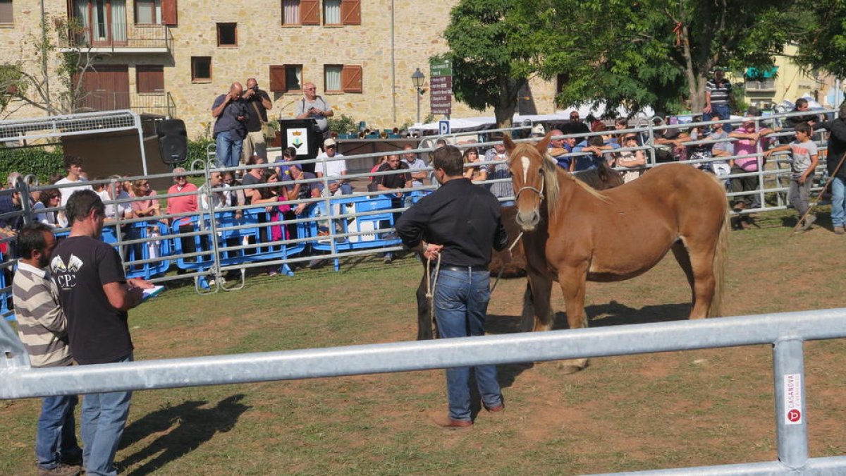 El concurs de cavalls del Pirineu.