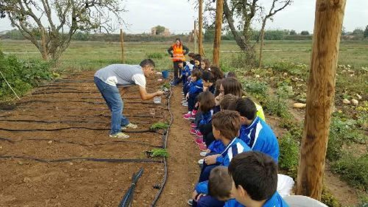 Els joves alumnes aprendran a conrear la terra.