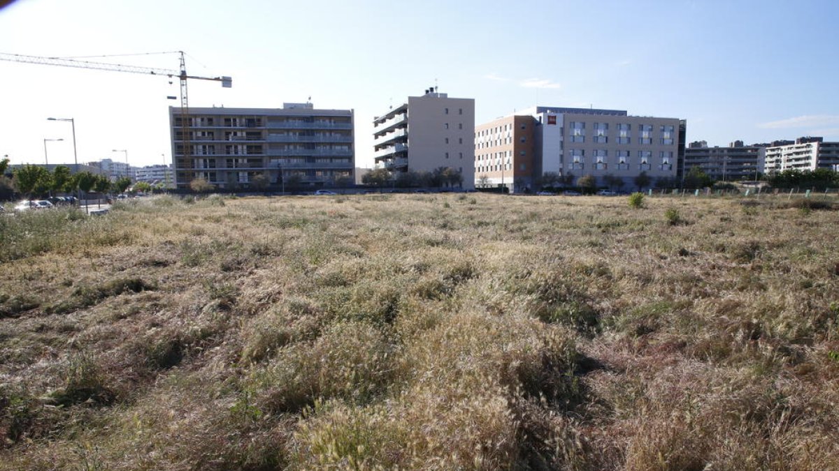 Vista de la zona donde Leroy Merlin prevé abrir un establecimiento de más de 8.000 metros cuadrados.