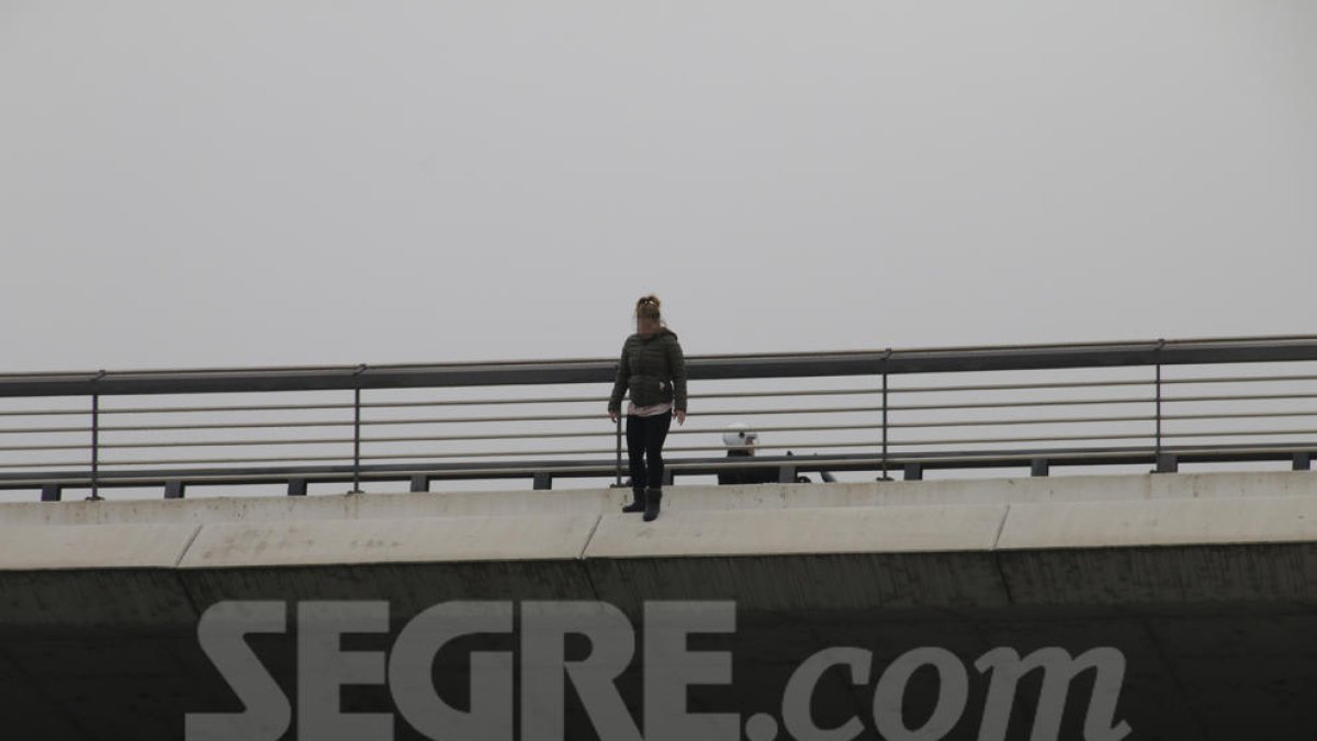 Salven una noia de caure del Pont de Príncep de Viana