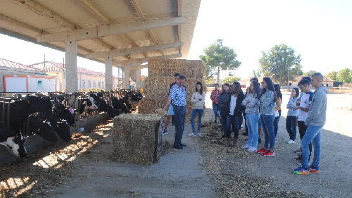 Una de les classes de l’Institut Mollerussa amb els alumnes del cicle de formació professional.