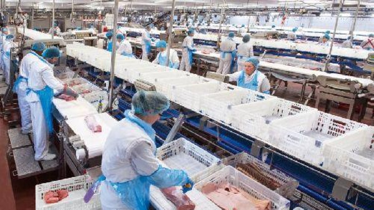 Imatge de la sala d’especejament, en la qual la CAG ha invertit 9 milions d’euros.