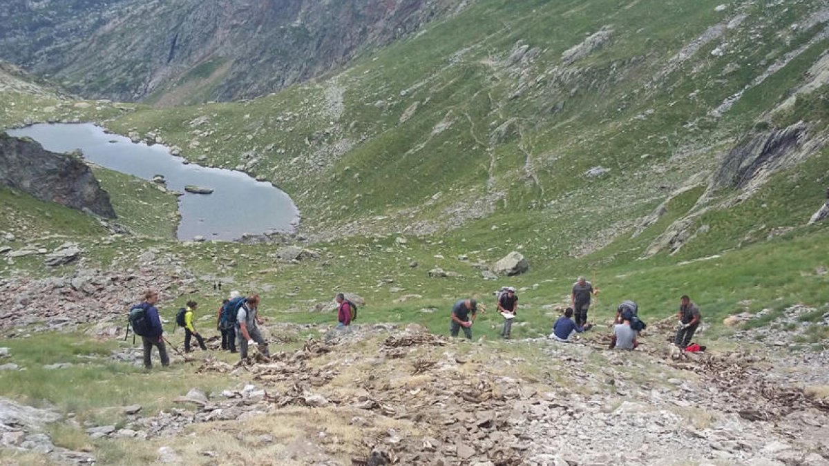 Els tècnics que ahir van inspeccionar la zona per conèixer la causa de la mort.
