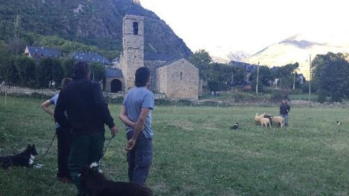 Un moment del curs celebrat a Barruera.