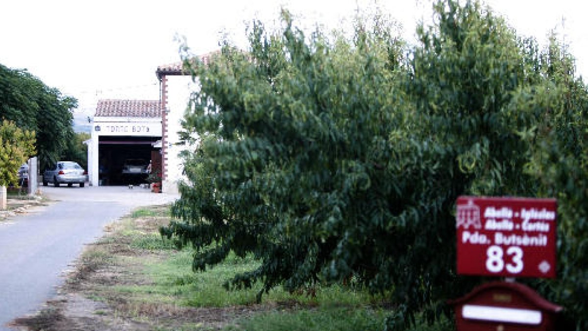 L’accident es va produir ahir a la tarda en aquesta finca de la partida de Butsènit.