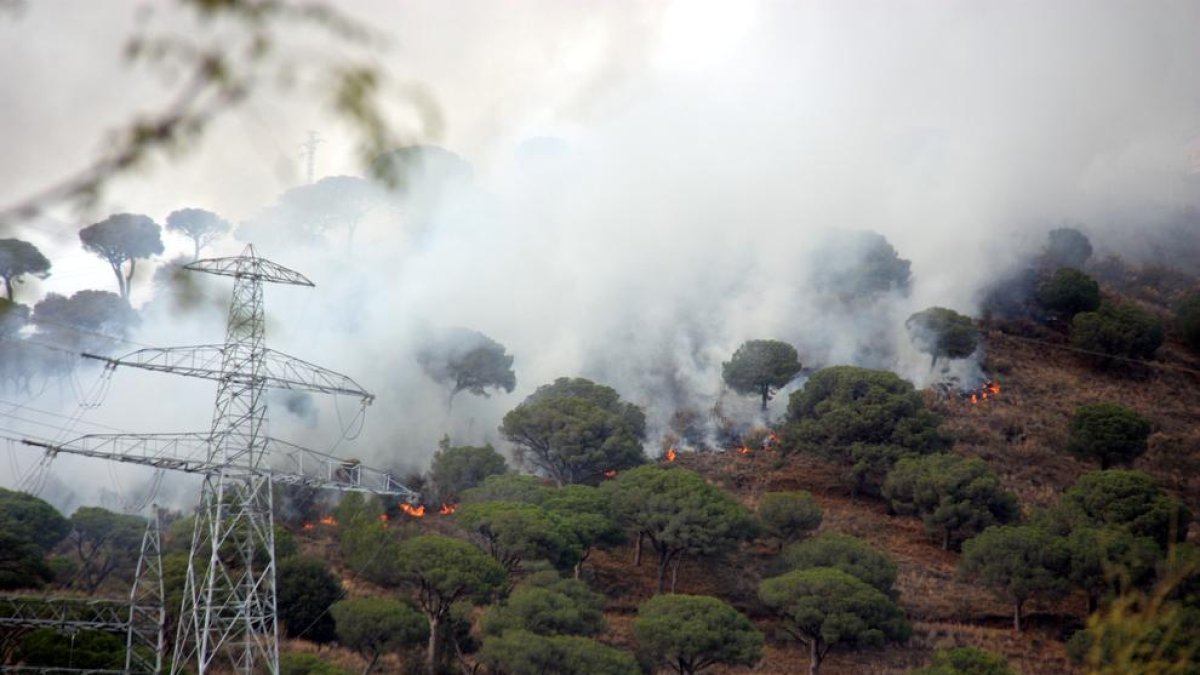 Detall de les flames i la cortina de fum de l’incendi.