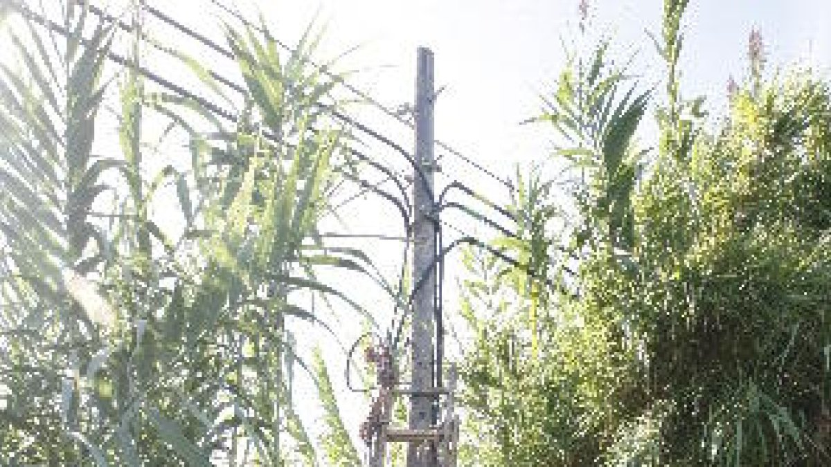 Operaris de Telefónica van treballar per restablir el servei.