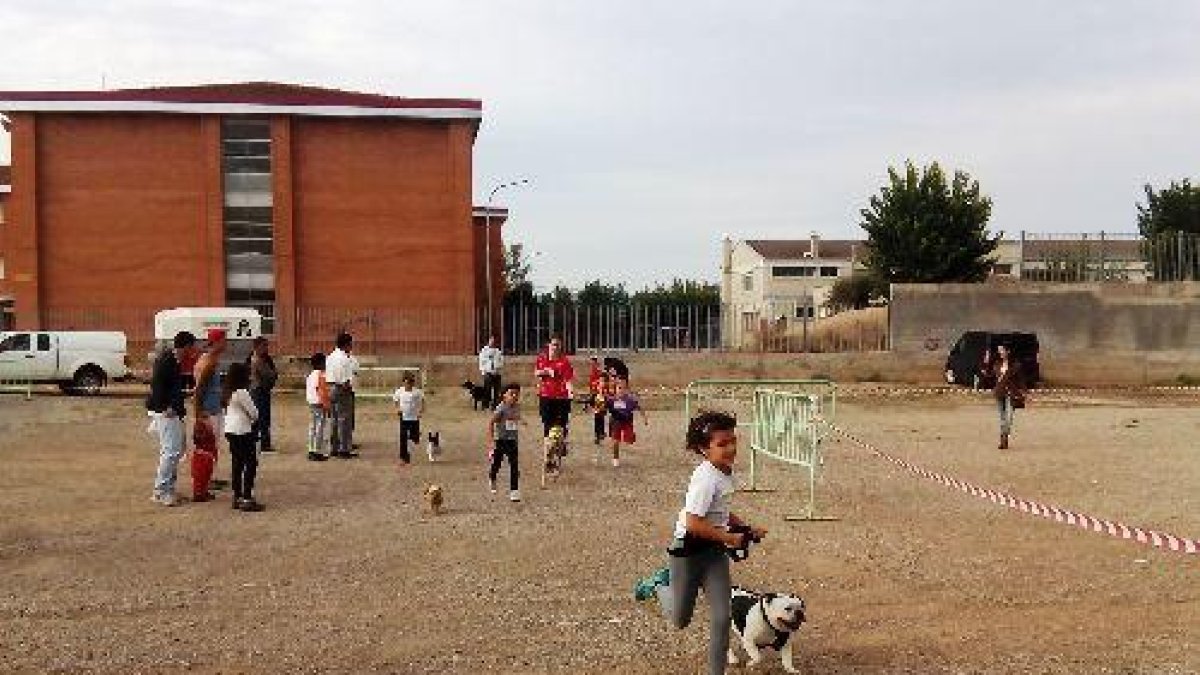 Actes de la fira en la passada edició del 2015.