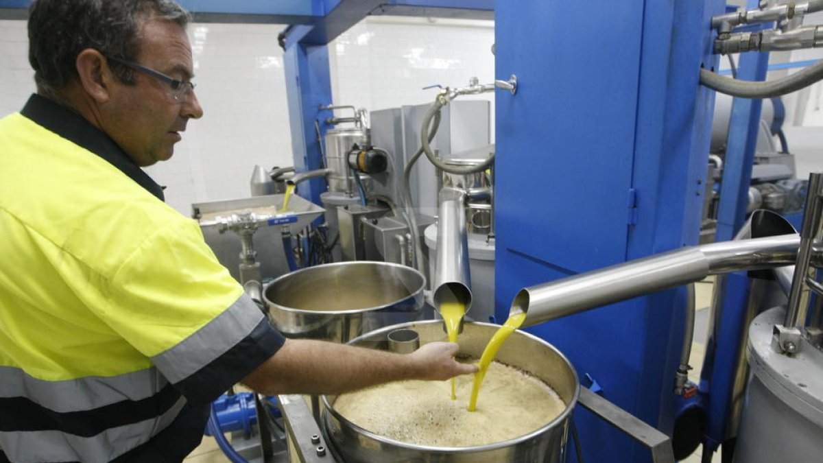 La cooperativa de Maials aumenta un 100% su producción gracias a 10 años de regadío