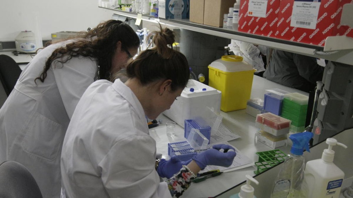 Les instal·lacions de l’IRBLleida, que concentren la investigació biomèdica.