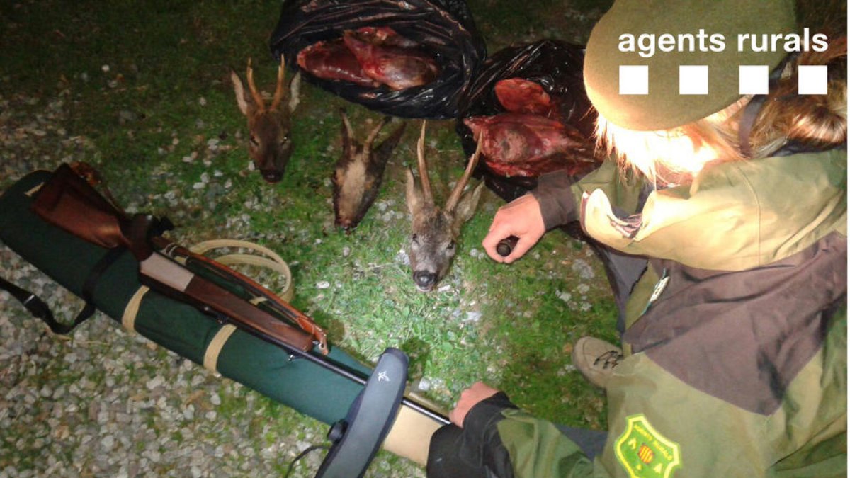 Els Agents Rurals enxampen un furtiu d'isard i cabirol a Civís, a l'Alt Urgell