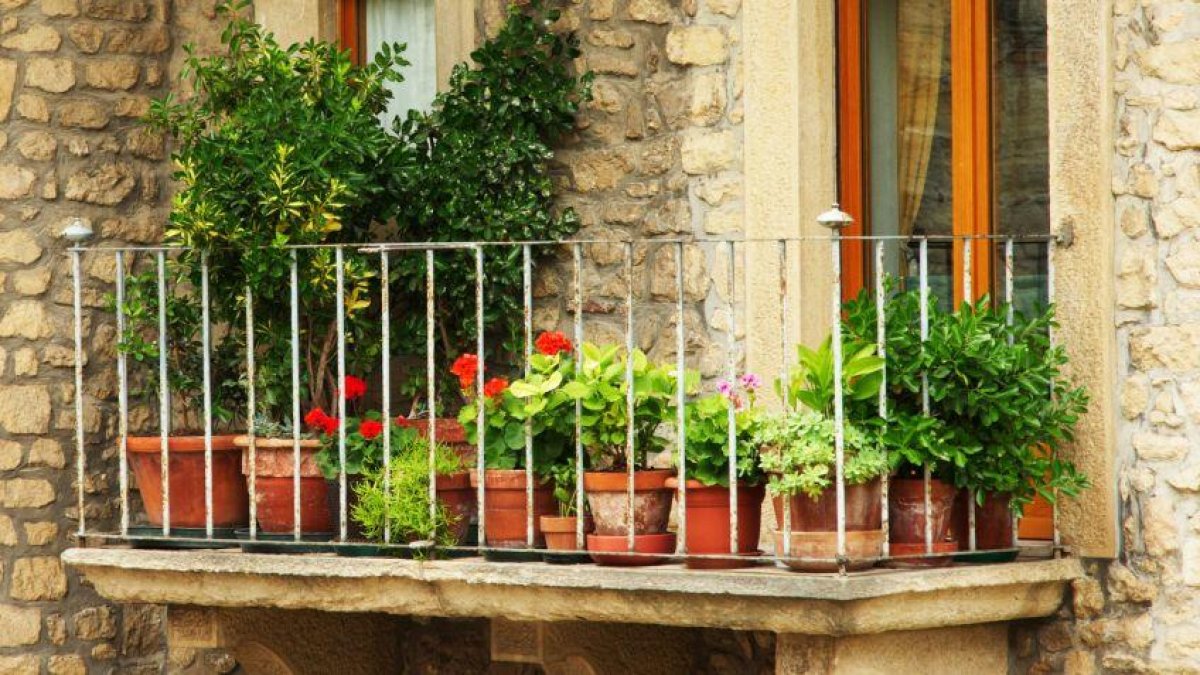 Balcons amb flors donen color a les nostres viles i pobles.