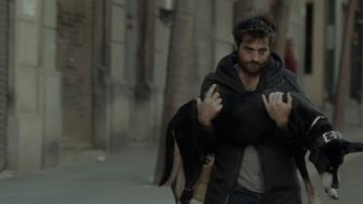 Fotograma d’‘El camí més llarg per tornar a casa’, una de les pel·lícules de la mostra de cine VOC.