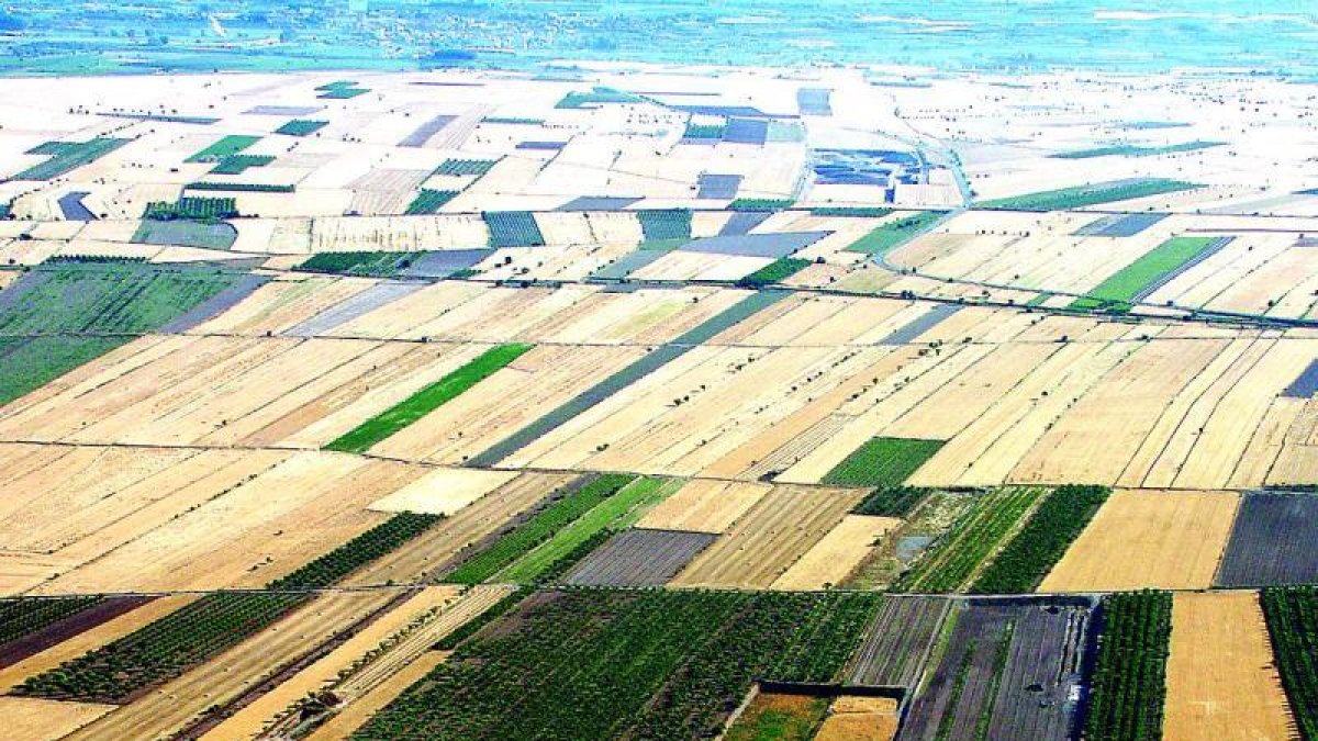 Campos de Arbeca antes de la concentración parcelaria.