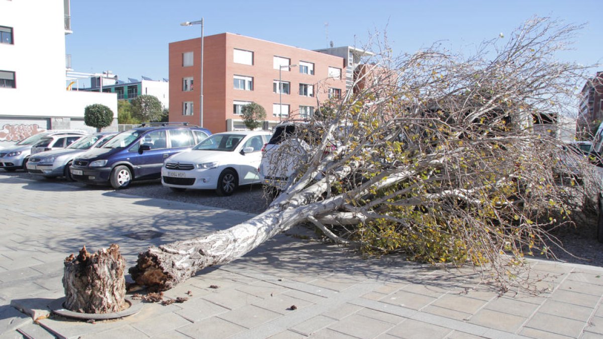 Alerta per fort vent a Lleida, especialment al Pirineu