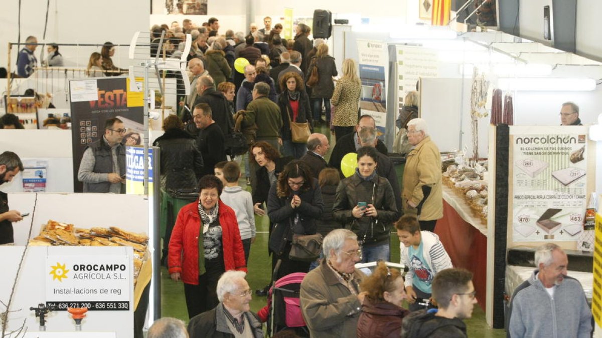 La Fira de l'Oli Verd de Maials abre sus puertas con expectativas de superar los 16.000 litros vendidos el año pasado