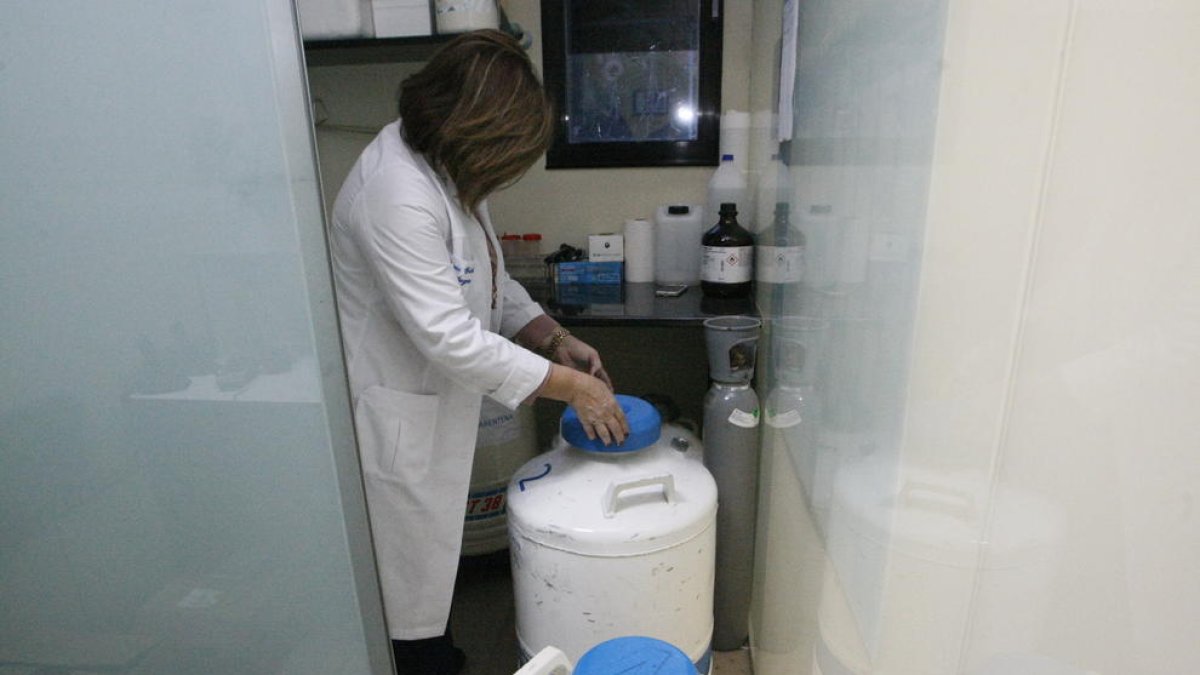 Vista del lloc de conservació d’embrions en una clínica de reproducció assistida de Lleida.