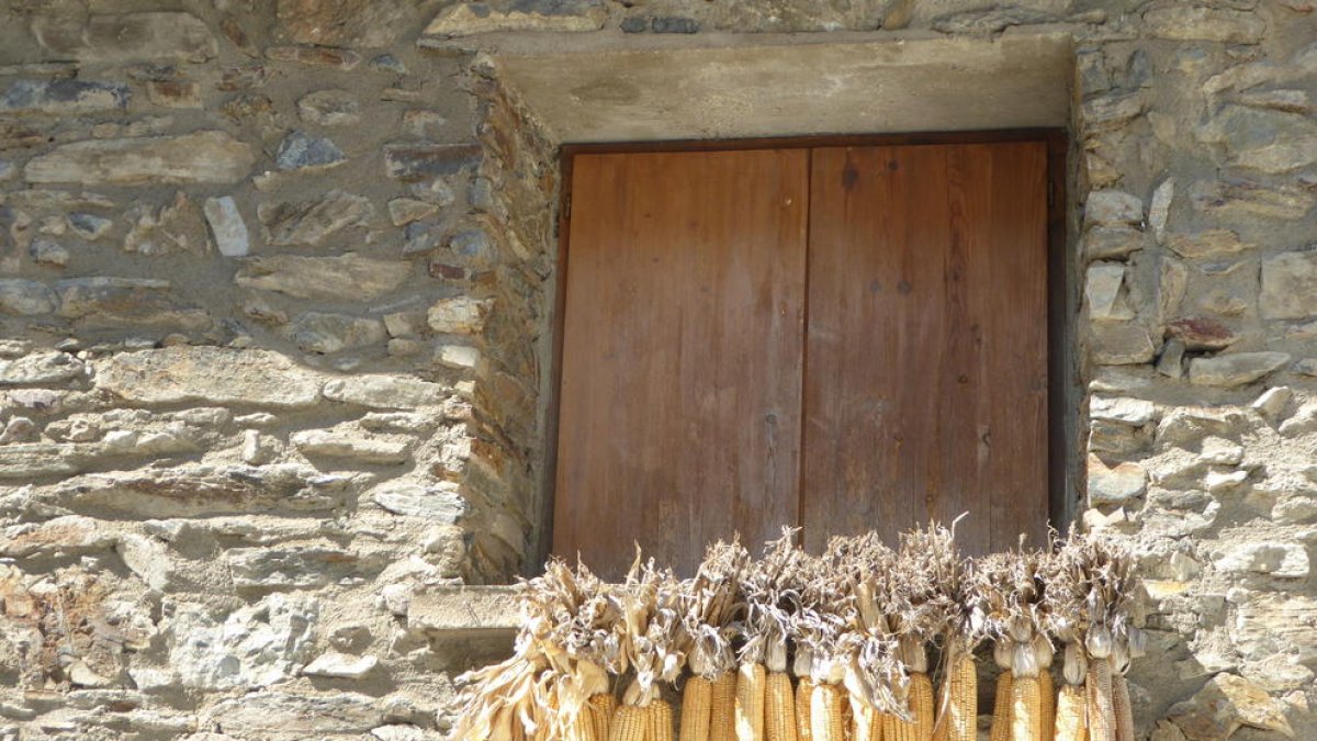Arres