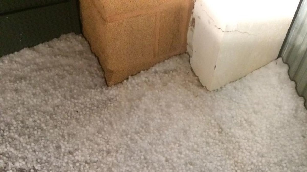 Imatges captades ahir a Almacelles i Sucs en les quals es pot apreciar que la tempesta de pedra va descarregar amb força.