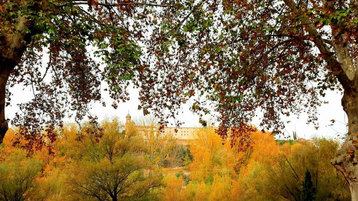 Colors de tardor a Balaguer