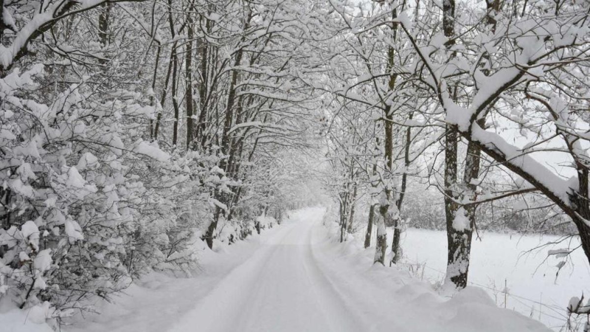 Nevada al Pirineu 2019