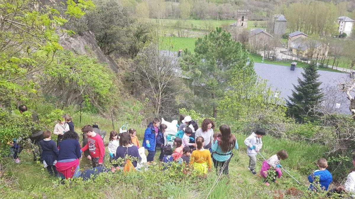 Voluntaris limpian el Parque Natural del Alt Pirineu