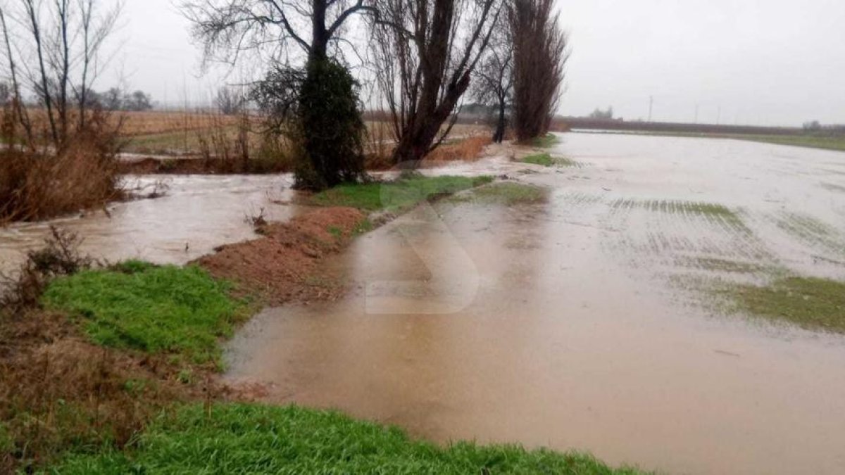 El temporal Glòria a les terres de Lleida