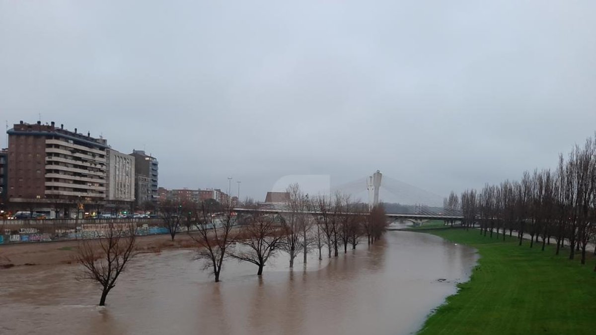 El río Segre, a su paso por la canalización de Lleida ciudad este jueves por la mañana.