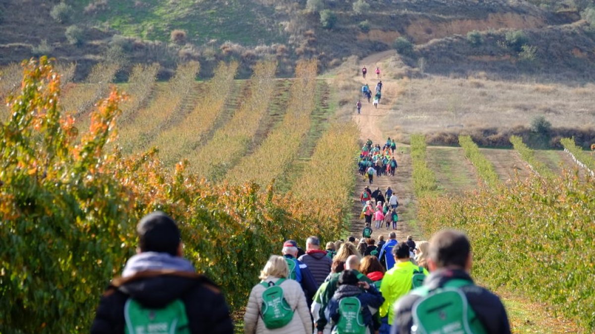 Marxa solidària contra el càncer a Torres de Segre