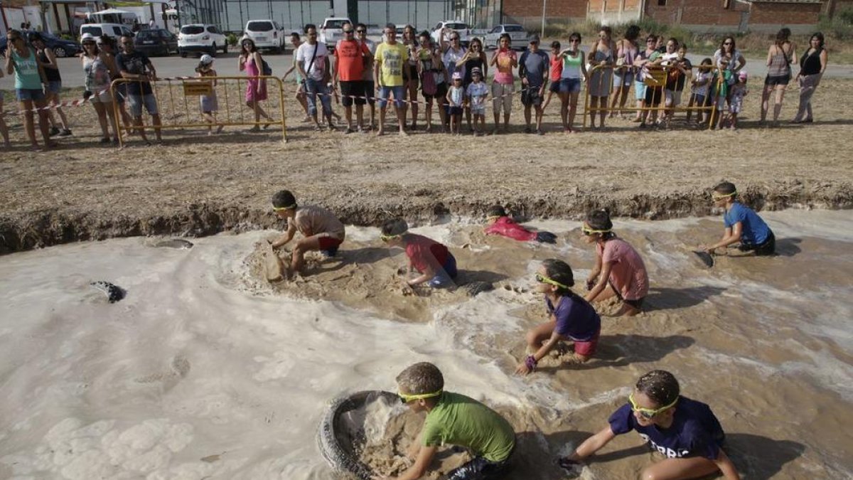 Arbequí de Ferro 2018