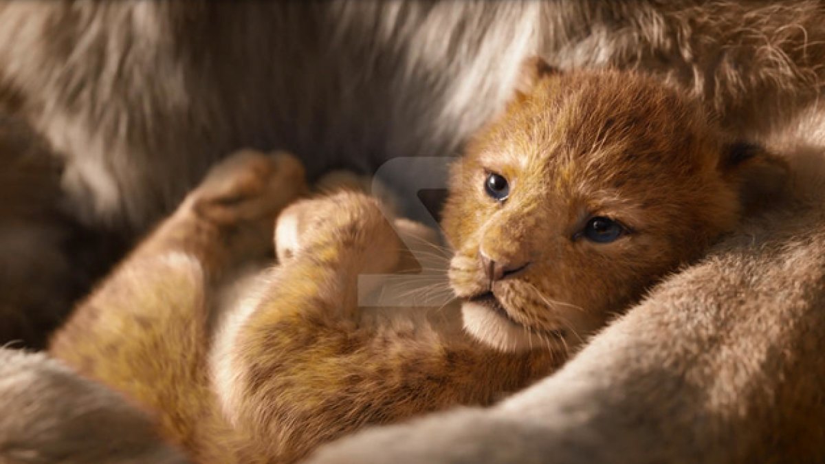 VÍDEO. El homenaje a Constantino Romero con 'El Rey León' que ha hecho un leridano triunfa en la red