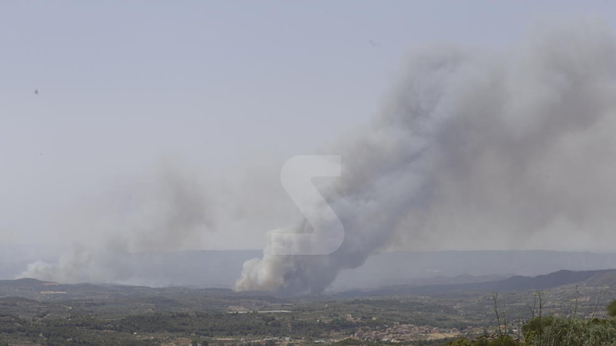 Imágenes del incendio de Ribera d'Ebre