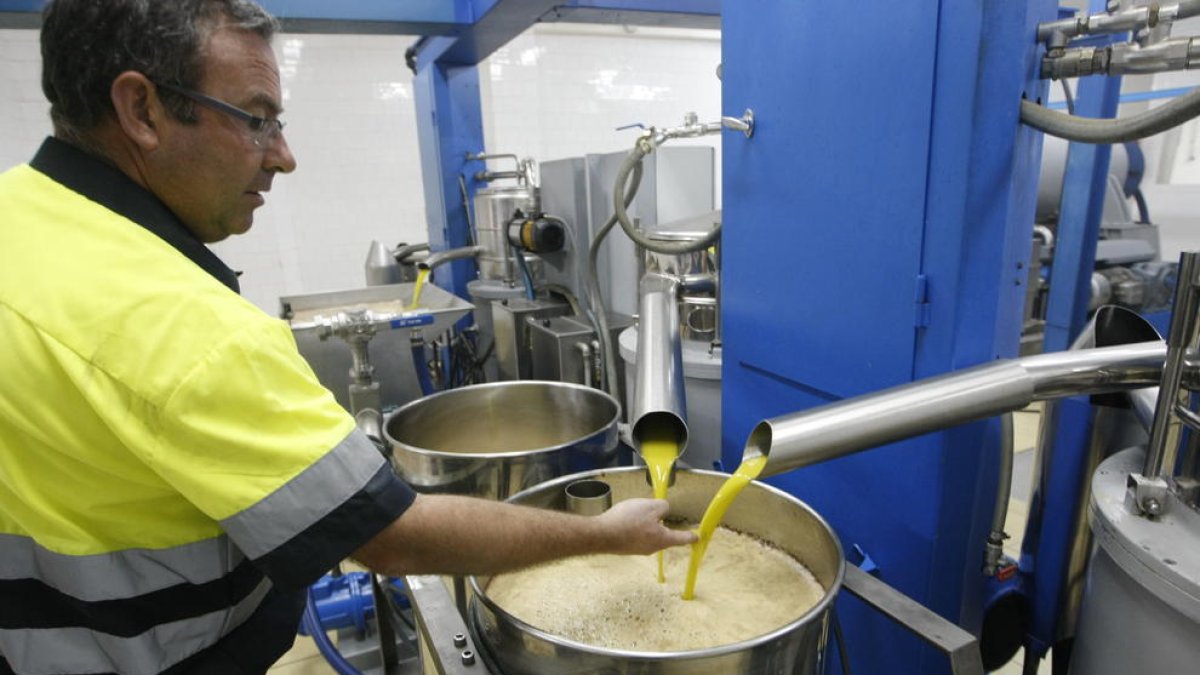 Imagen de preparación de aceite de oliva virgen extra.