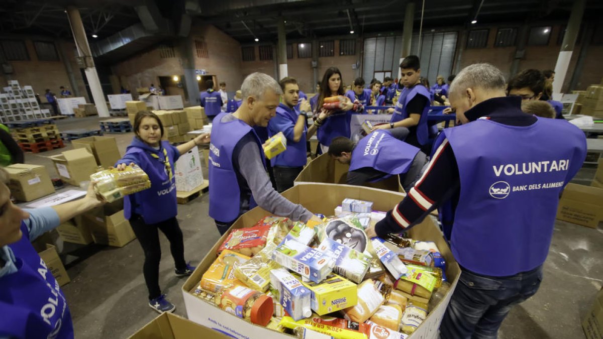 La classificació es va fer amb desenes de voluntaris.