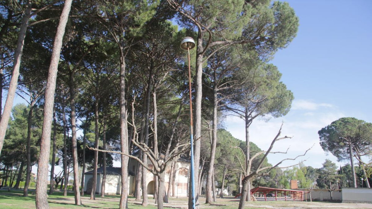 La zona de la entrada del parque de Les Basses, en una imagen tomada ayer.