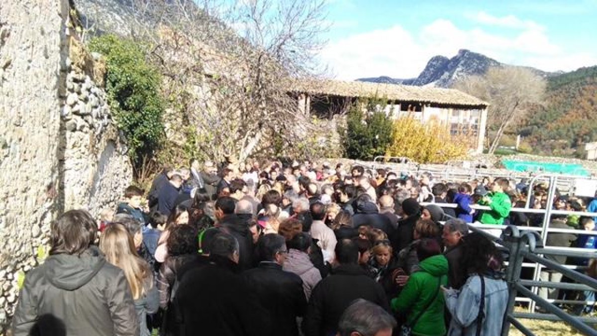 Más de 2.500 visitantes se acercaron ayer a Organyà.