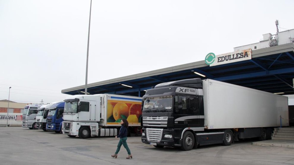 Imagen de camiones esperando para poder pasar los trámites de inspección ayer en Edullesa.