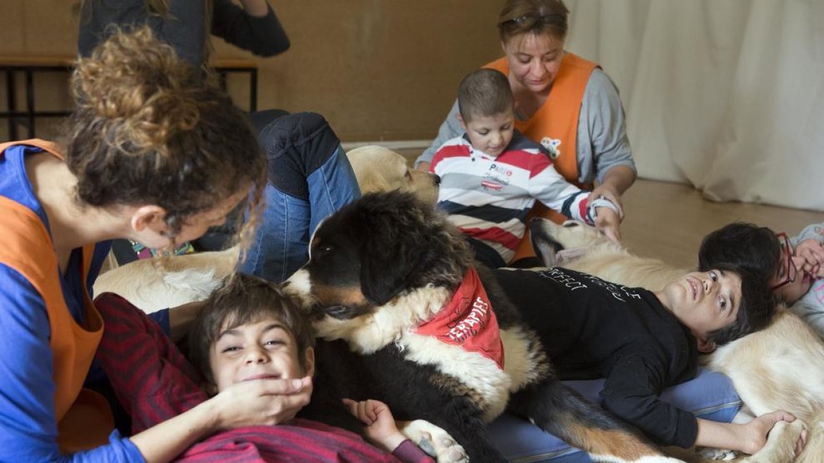 Imatge d’arxiu de la teràpia canina de l’Associació Alba.