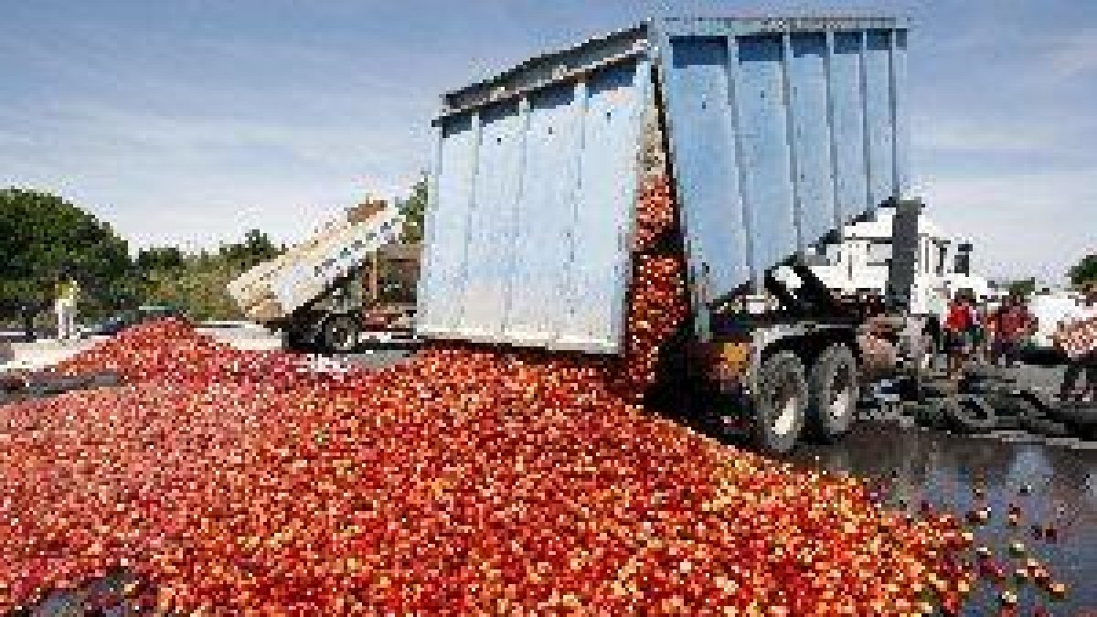 Protesta d’agricultors a Perpinyà per la competència de la fruita espanyola