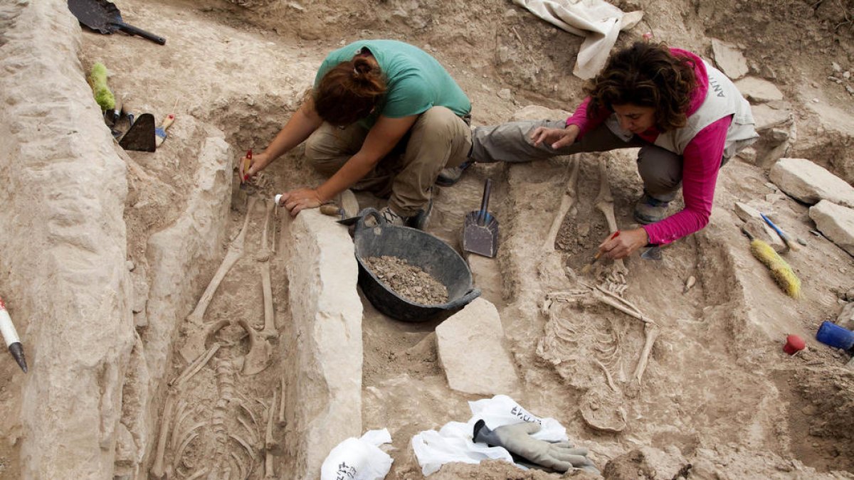 Necrópoli Torrefeta