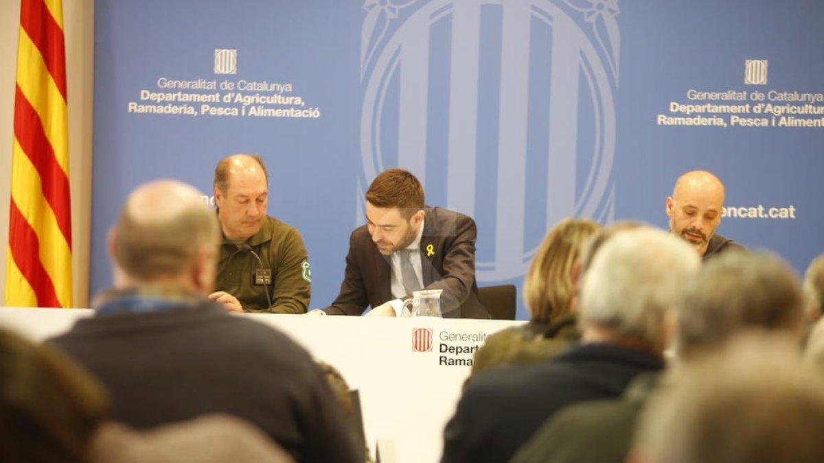 Agricultura autoritza batudes nocturnes contra la