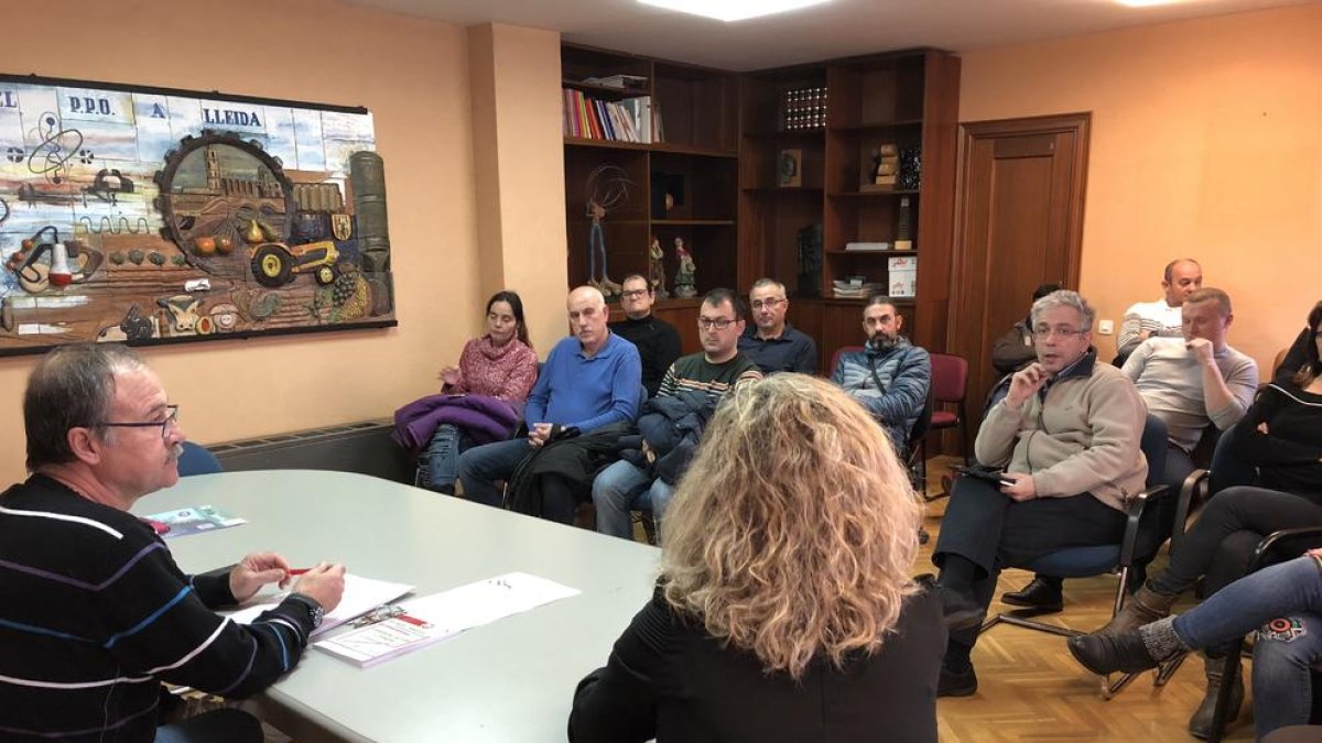 UGT denuncia que un miler de treballadors de Lleida estan afectats per les falses cooperatives