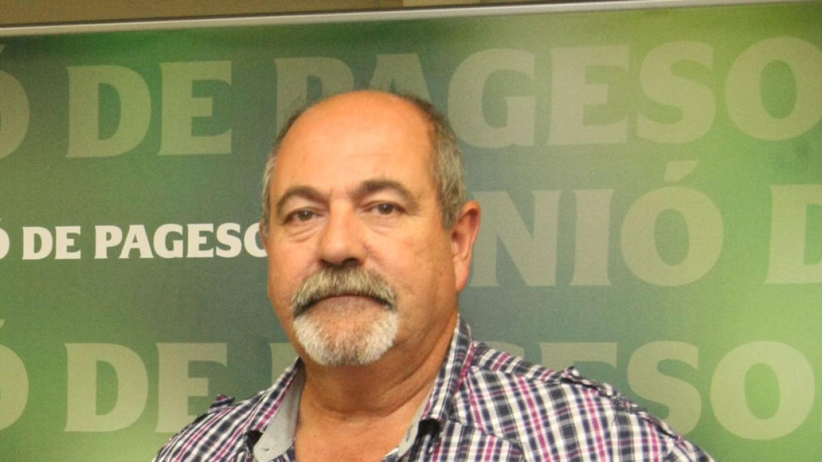 Amb les fotovoltaiques també ens juguem el futur