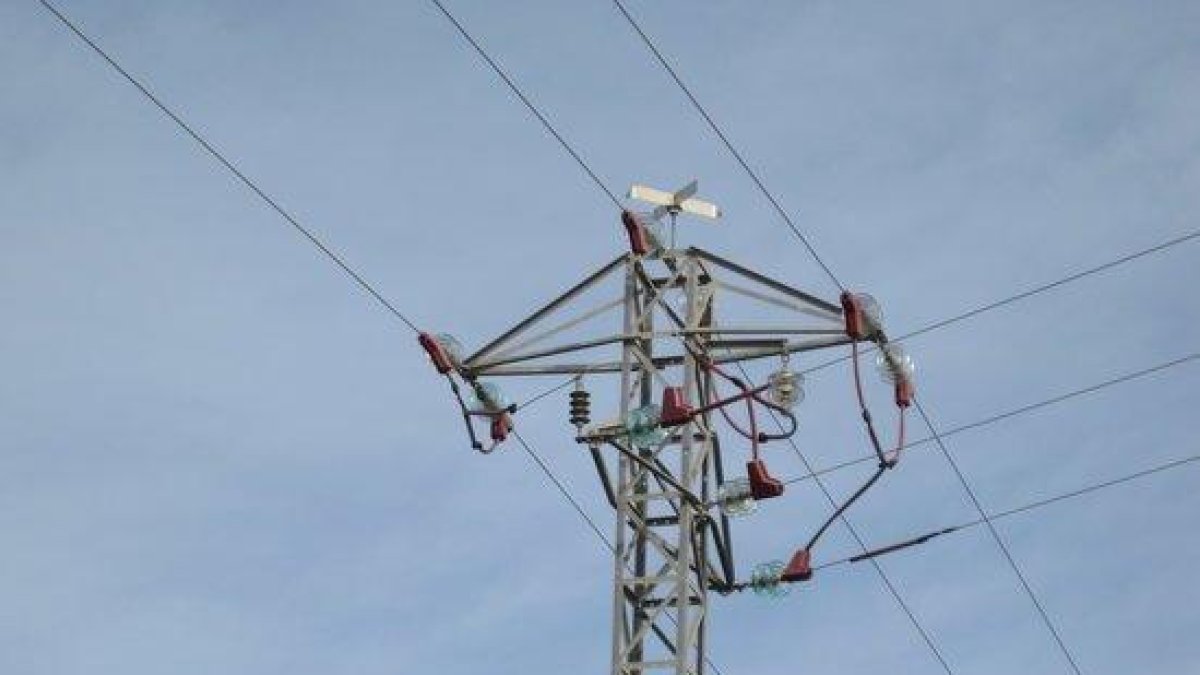 Endesa instal·la proteccions per a les aus en una línia elèctrica dels Alamús