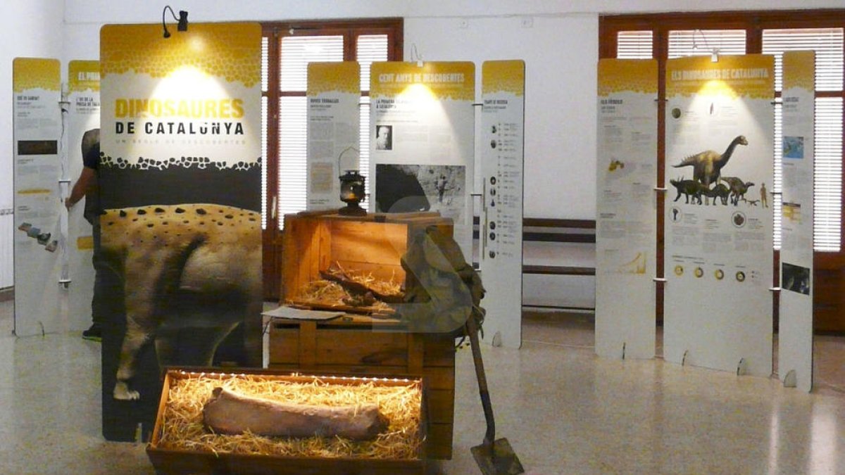 Ajuntaments i consells han suprimit en quatre anys més de 40 entitats autònomes