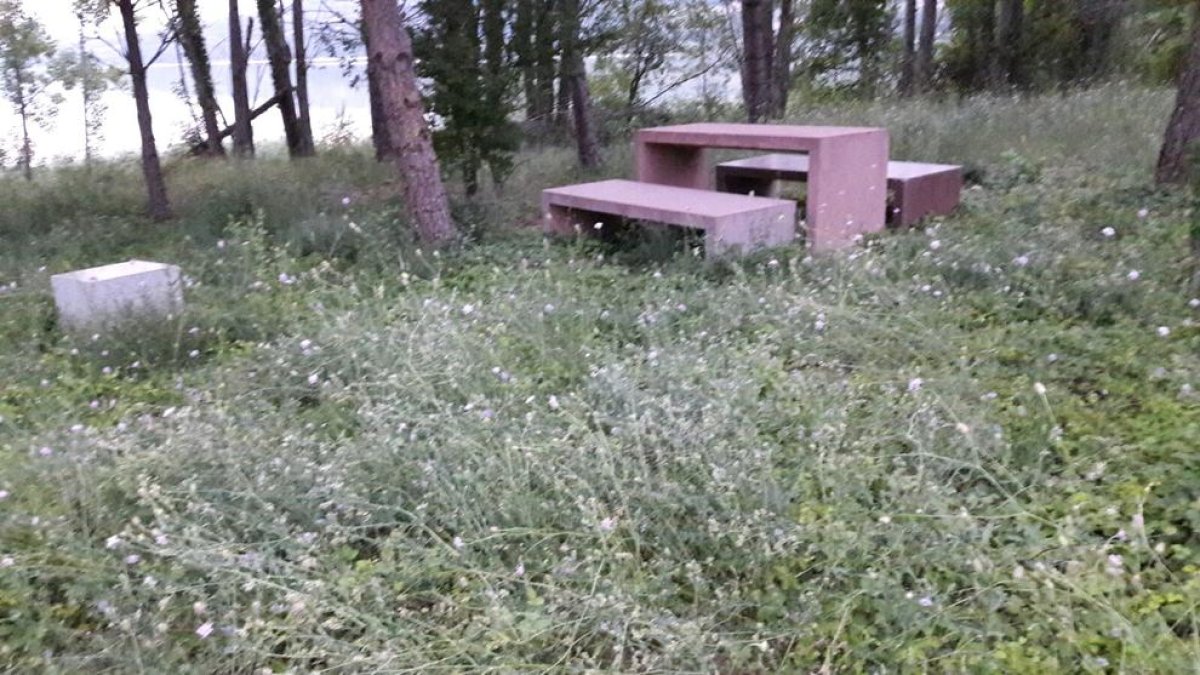 La zona de pícnic de l’àrea de Cellers, inutilitzada per les herbes.