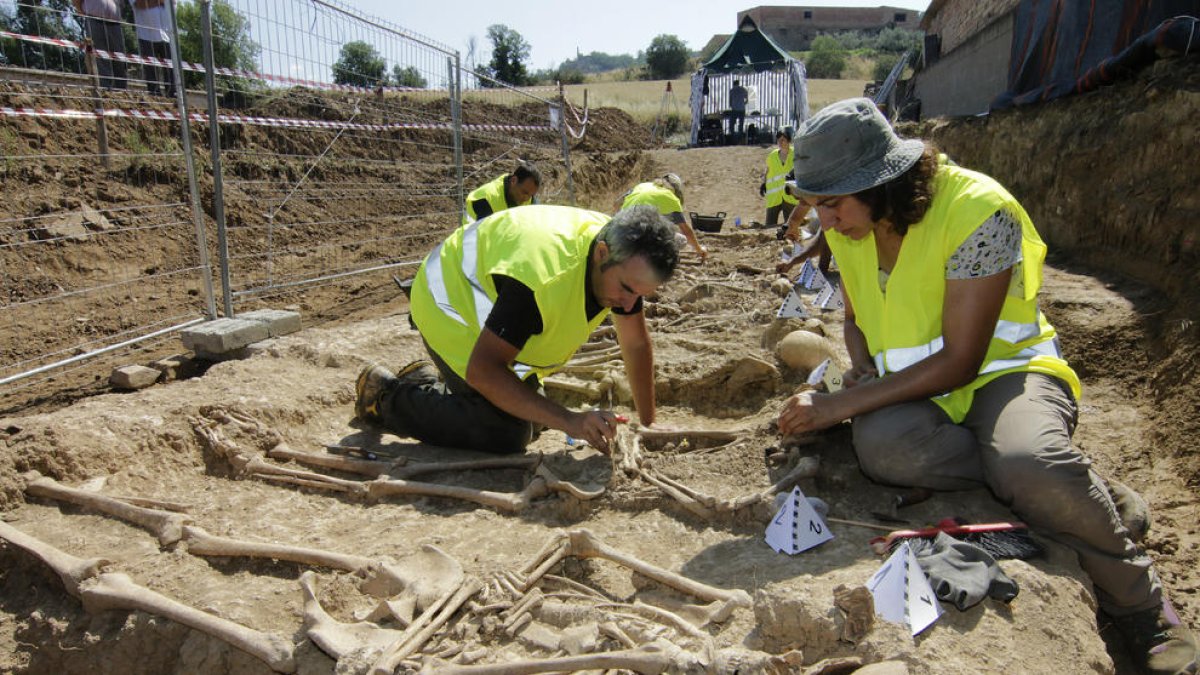 Els treballs han deixat al descobert els disset cossos, que van ser enterrats en línia, i també elements d’indumentària militar com botes o cartutxeres.