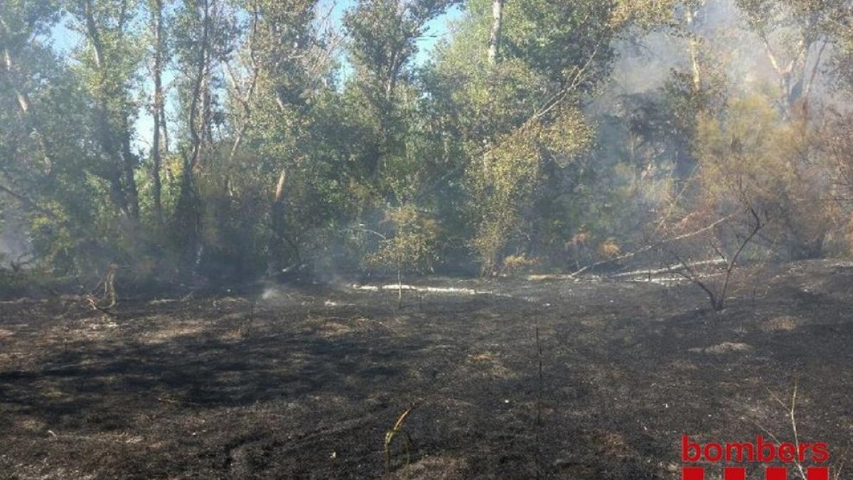 Incendi a la Mitjana de Lleida