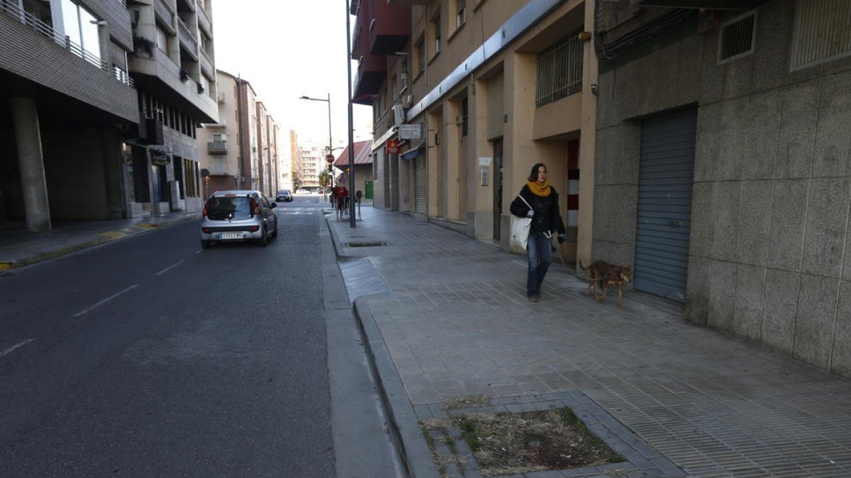 Al carrer República del Paraguai falten diversos arbres.